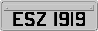 ESZ1919