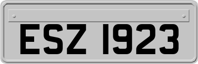 ESZ1923