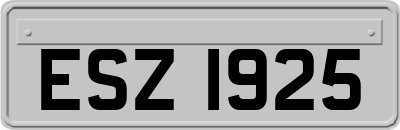 ESZ1925