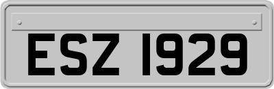 ESZ1929