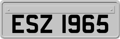 ESZ1965