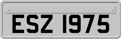 ESZ1975
