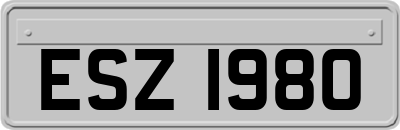 ESZ1980