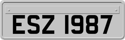 ESZ1987