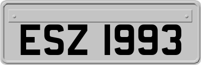 ESZ1993