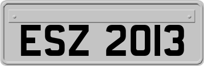 ESZ2013