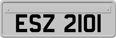 ESZ2101