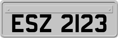 ESZ2123