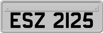 ESZ2125