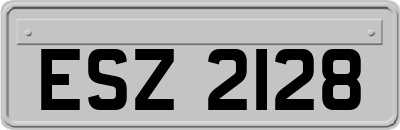 ESZ2128