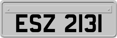 ESZ2131