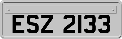 ESZ2133