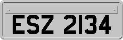 ESZ2134