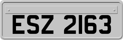 ESZ2163