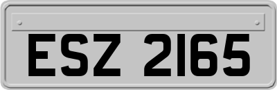 ESZ2165