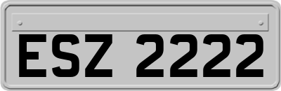 ESZ2222
