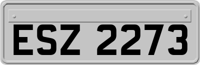 ESZ2273