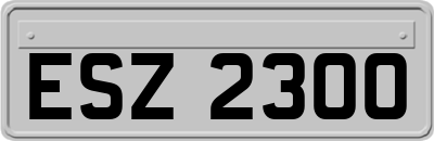 ESZ2300