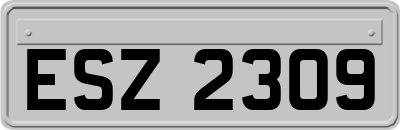 ESZ2309