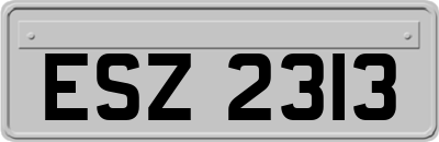 ESZ2313