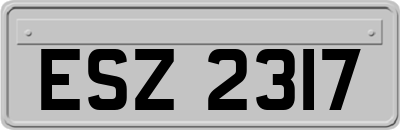 ESZ2317