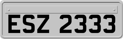 ESZ2333