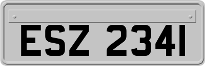 ESZ2341