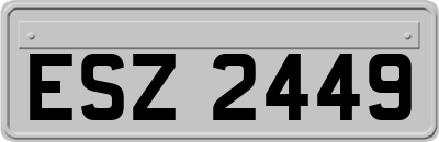 ESZ2449