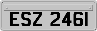 ESZ2461