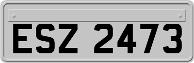 ESZ2473