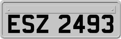 ESZ2493