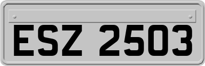 ESZ2503