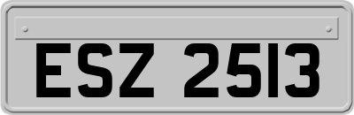 ESZ2513