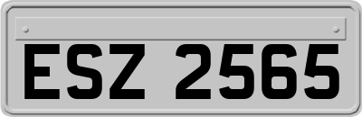 ESZ2565