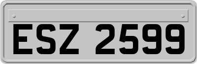 ESZ2599