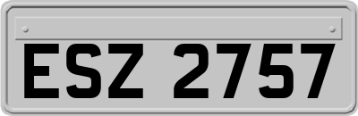 ESZ2757