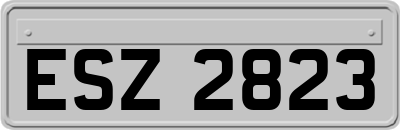 ESZ2823