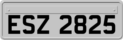 ESZ2825