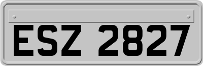 ESZ2827
