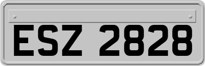 ESZ2828