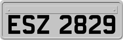 ESZ2829