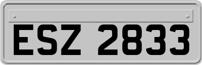 ESZ2833