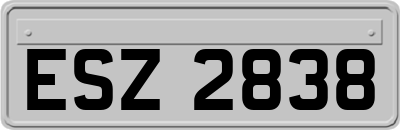ESZ2838