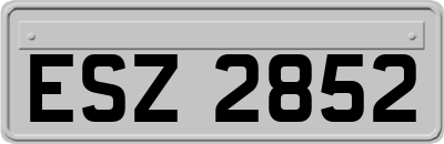 ESZ2852