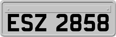 ESZ2858