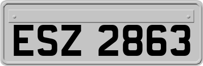 ESZ2863