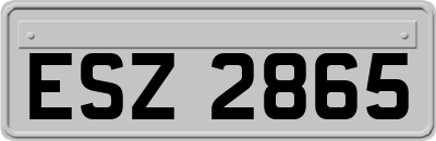 ESZ2865