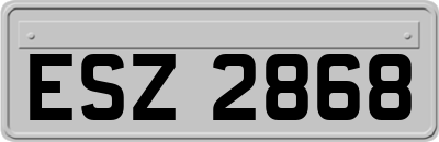 ESZ2868