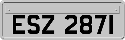 ESZ2871