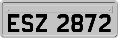 ESZ2872